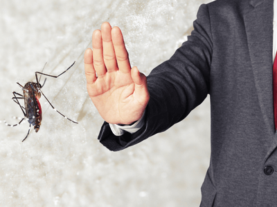 About VarmiShield Property Protection - pest control experts in Eureka